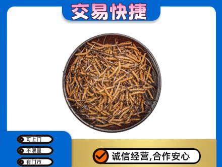 商洛高价回收散虫草